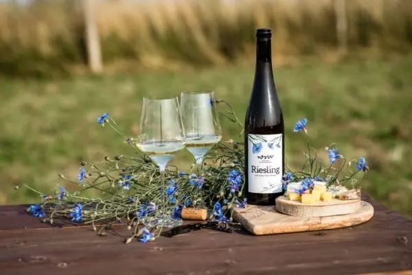 Wino z Widokiem na Odrę – Winnica Marcinowice