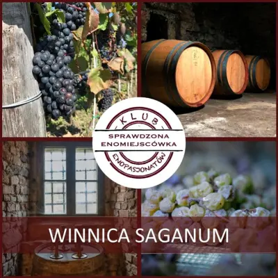 Winobus na Trakt Winny - Winnica Saganum